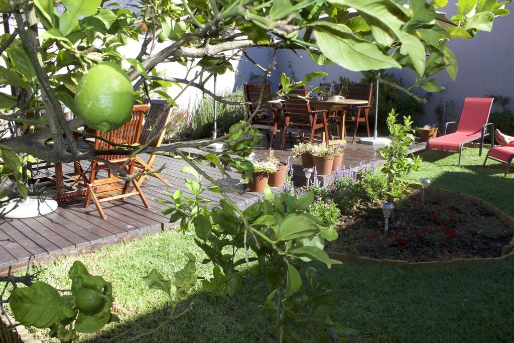 The Lions Guest House Cape Town Exterior foto