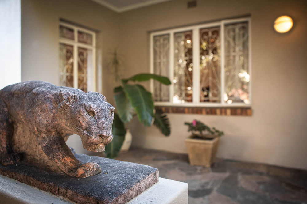 The Lions Guest House Cape Town Exterior foto