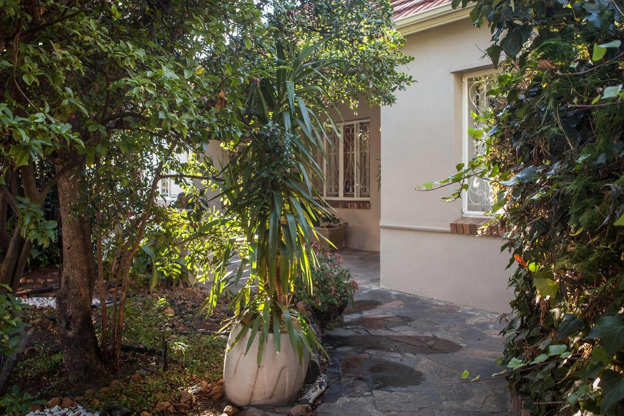 The Lions Guest House Cape Town Exterior foto