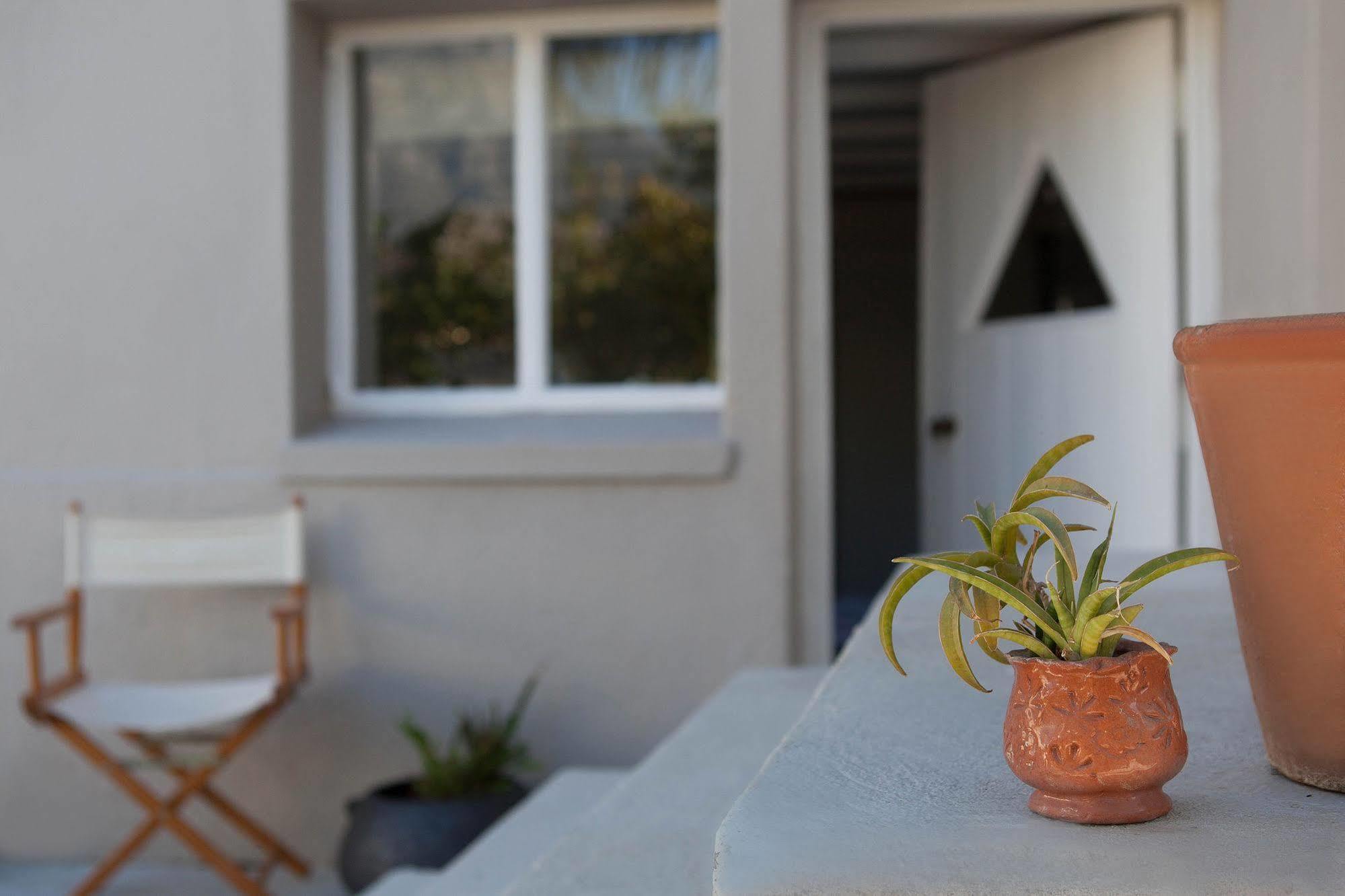 The Lions Guest House Cape Town Exterior foto